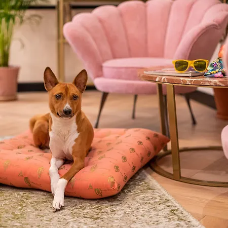 Lägenhetshotell Sleepwell Boutique 4*