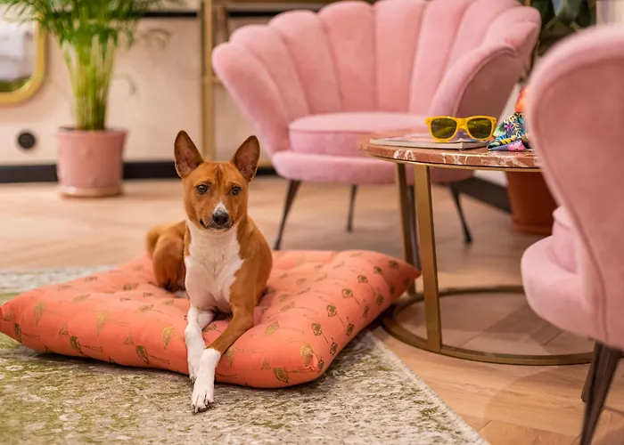 מלון דירות Sleepwell Boutique 4*